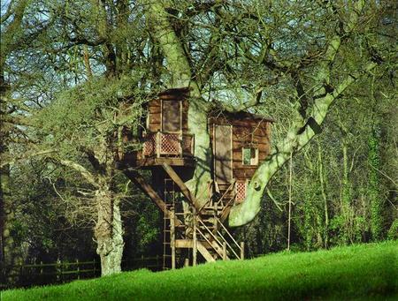 how to build a tree house painting